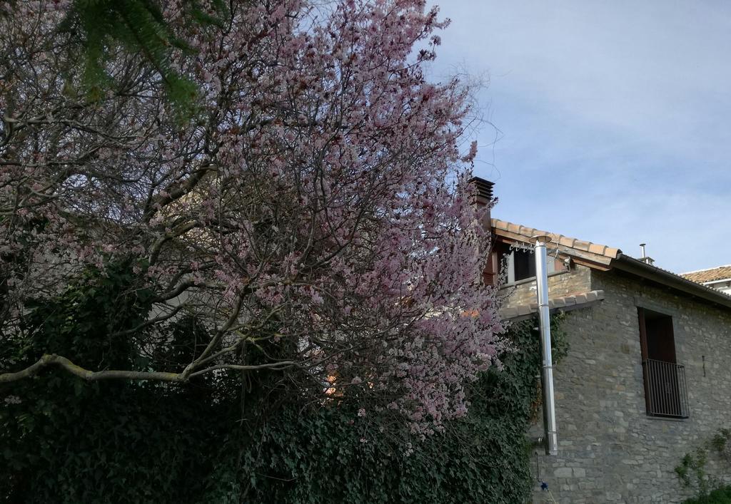 O Zierzo Villa Jaca Dış mekan fotoğraf